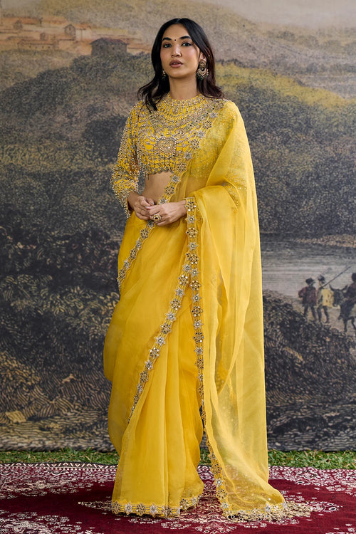 Peela Tara Organza Saree Set
