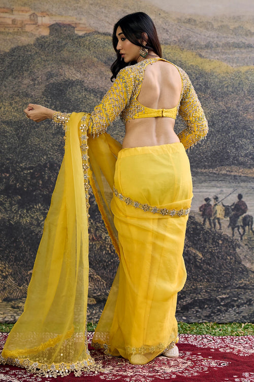 Peela Tara Organza Saree Set