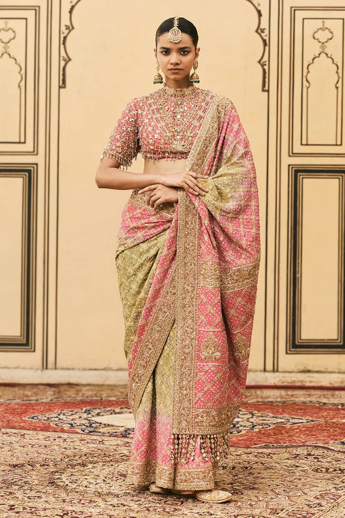 Gulnaar Ombré Saree Set