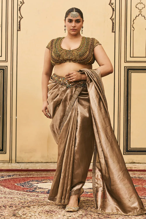 Bhoori Tissue Jadaau Saree Set