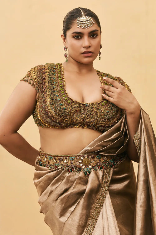 Bhoori Tissue Jadaau Saree Set