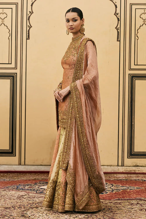 Aadhira Brocade Tissue Garara Set
