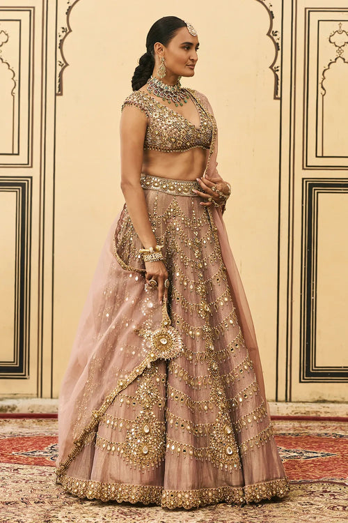 Raani Haar Tissue Lehenga Set