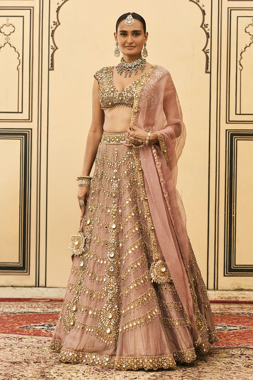 Raani Haar Tissue Lehenga Set