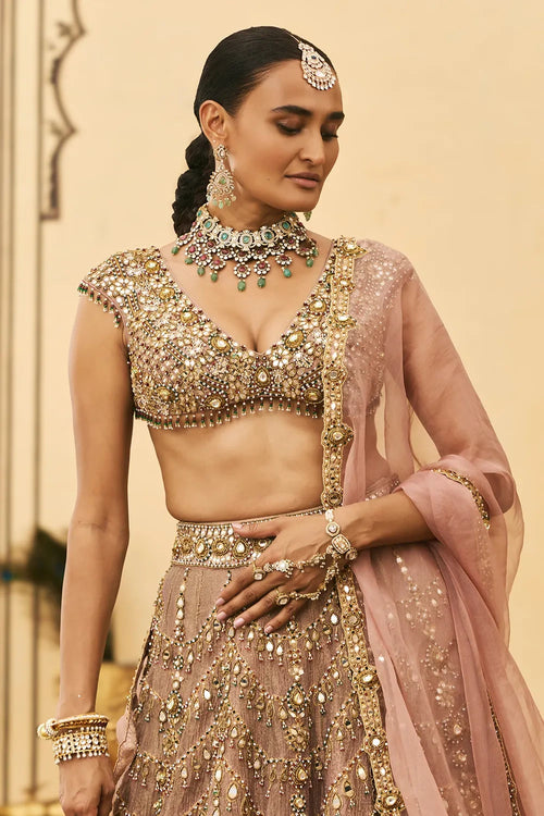 Raani Haar Tissue Lehenga Set