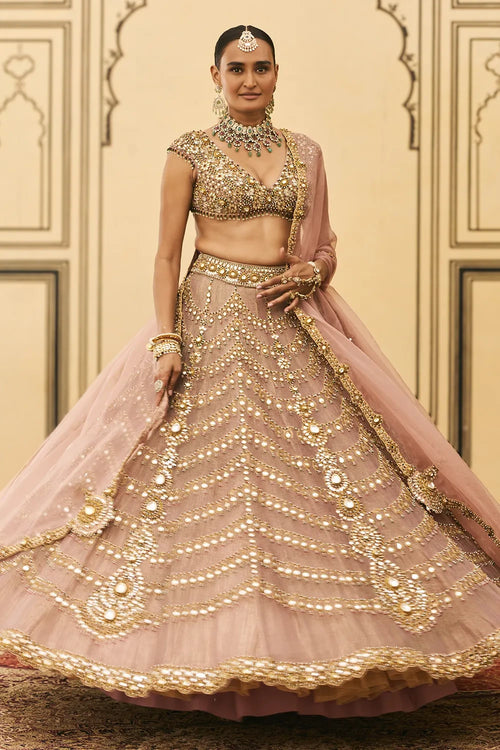 Raani Haar Tissue Lehenga Set