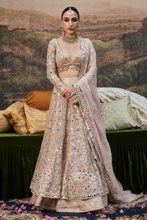 Rang de Gulaab Lehenga Set