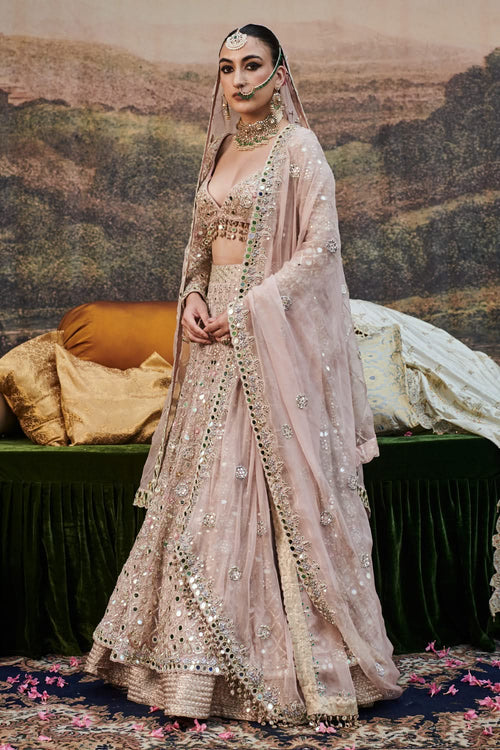 Rang de Gulaab Lehenga Set with Veil