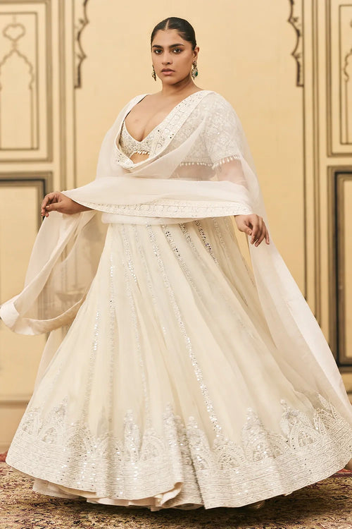Haathidant Organza Lehenga Set