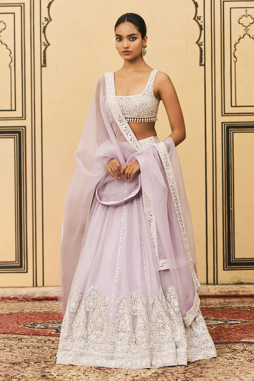 Baingani Organza Lehenga Set