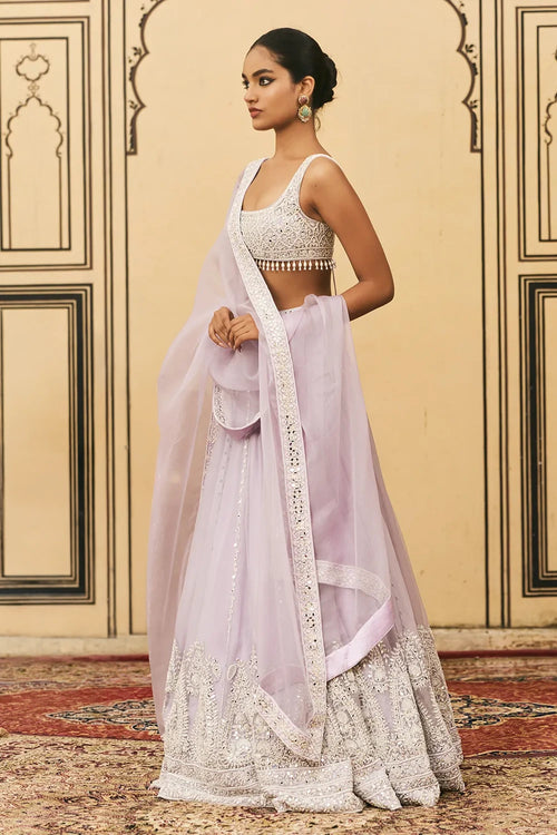Baingani Organza Lehenga Set