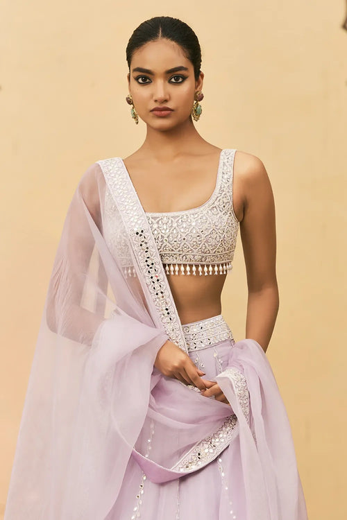 Baingani Organza Lehenga Set