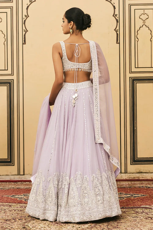 Baingani Organza Lehenga Set