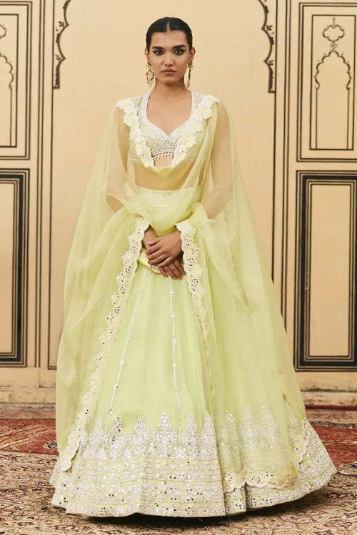 Pudina Organza Lehenga Set