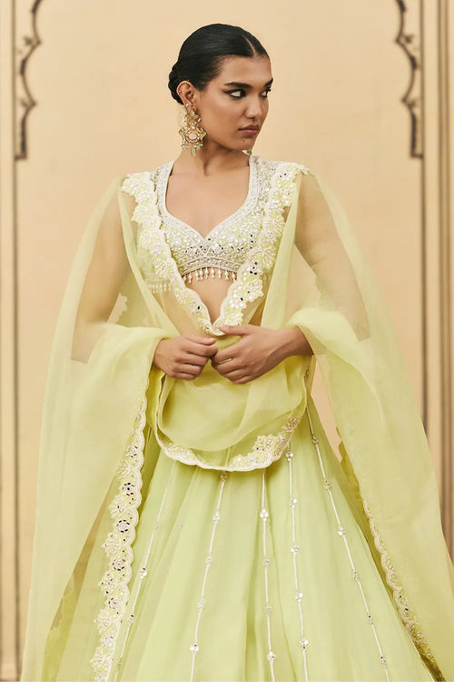 Pudina Organza Lehenga Set
