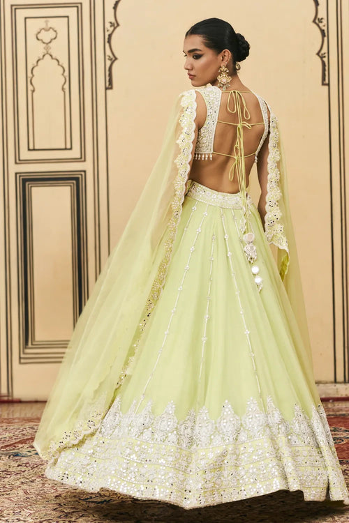 Pudina Organza Lehenga Set