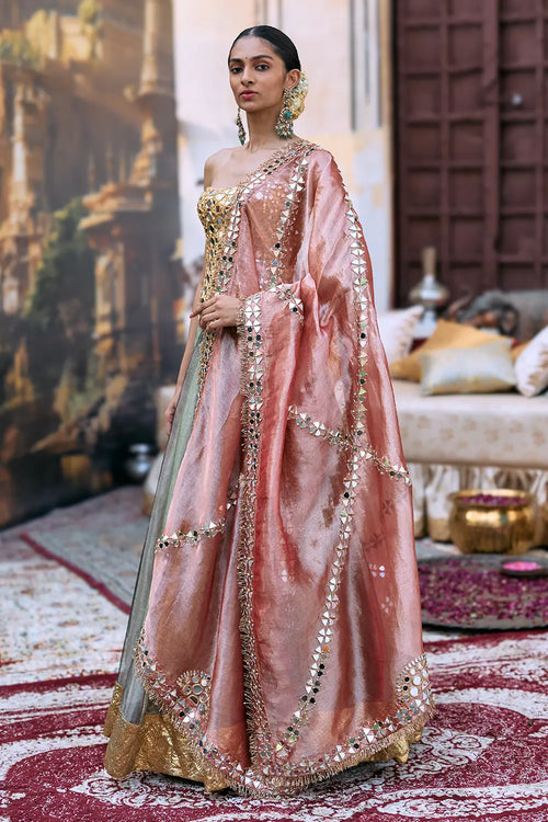 Harini Lehenga Set