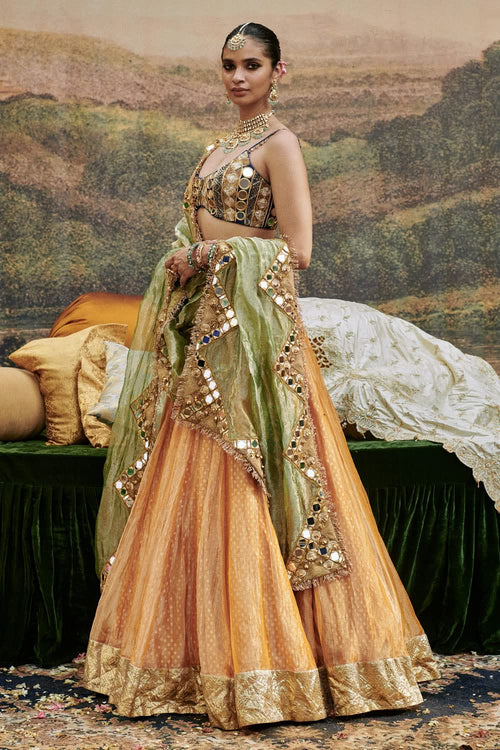 Ina Sheesh Lehenga Set