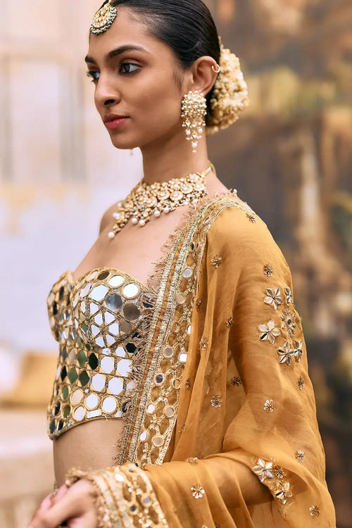 Apeksha Lehenga Set