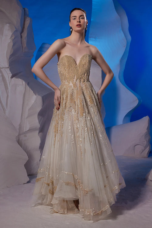 Ivory Organza Silk Tube Gown