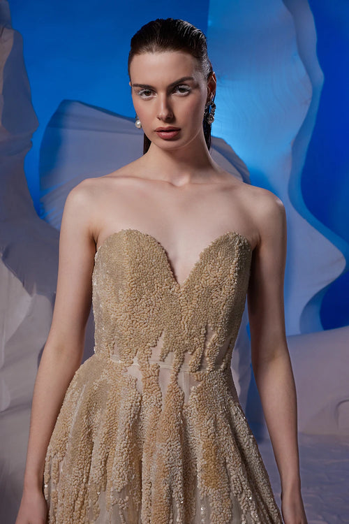 Ivory Organza Silk Tube Gown