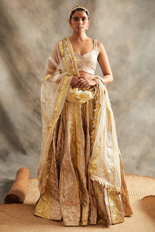 Chandi Sona Lehenga Set