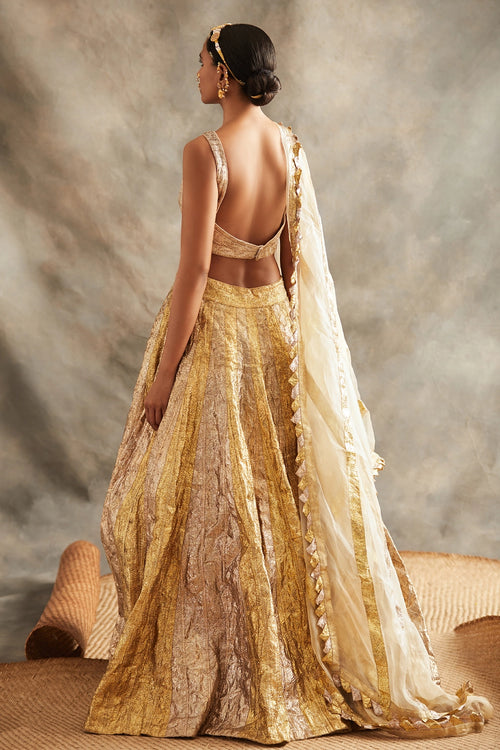Chandi Sona Lehenga Set