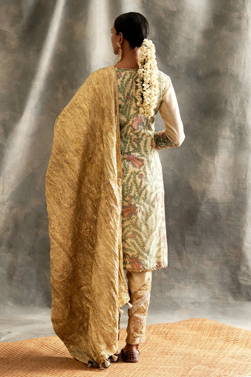 Suroor Straight Suit