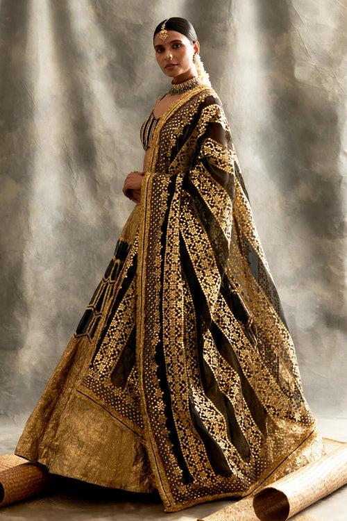 Hara Meena Kumari Kalidaar Lehenga Set
