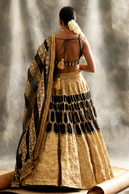 Hara Meena Kumari Kalidaar Lehenga Set