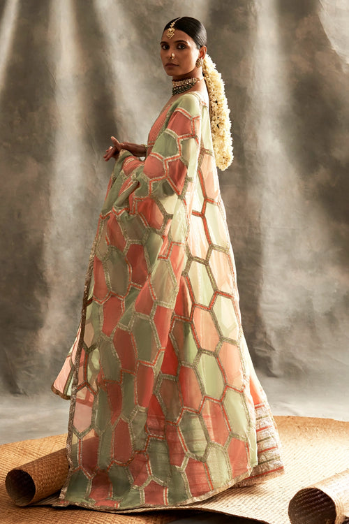 Shadmaani Lehenga Set
