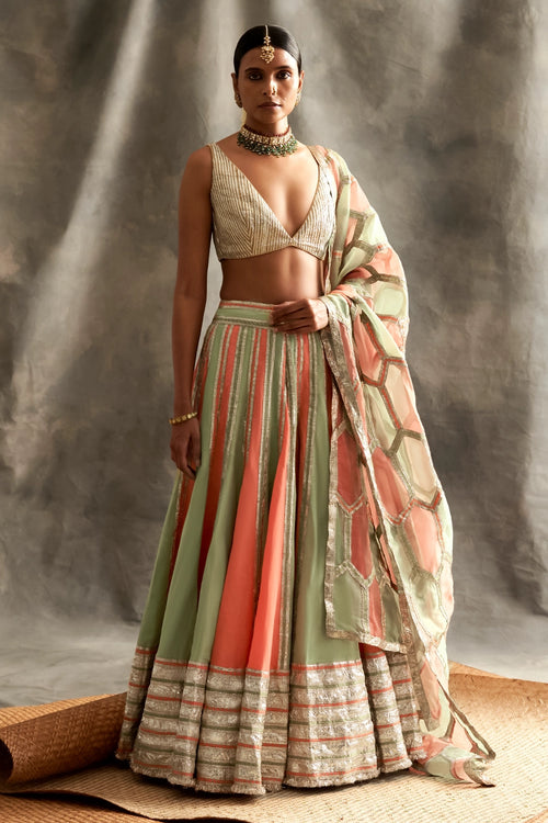 Shadmaani Lehenga Set