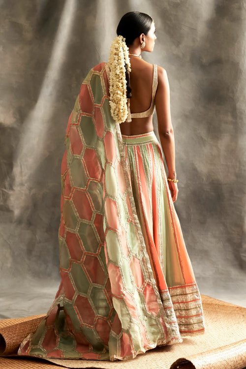 Shadmaani Lehenga Set
