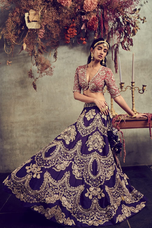 Purple Embroidered Lehenga with Red Blouse