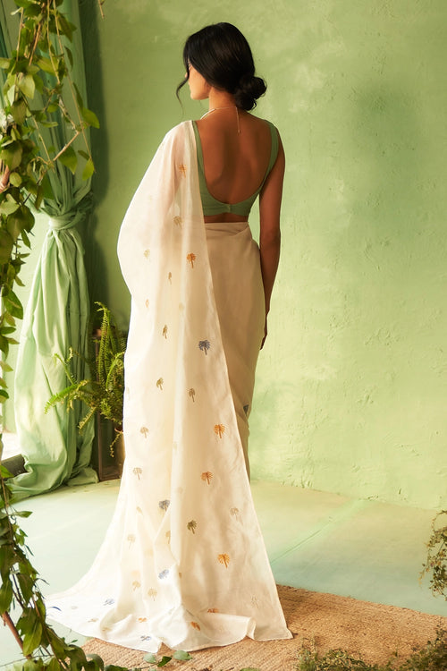 Kinaara saree with Tea Green Blouse