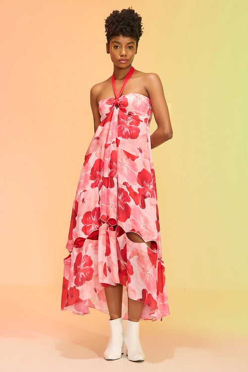 Kate Pink-Red Printed Dress