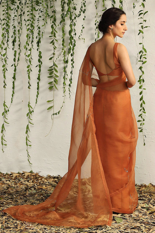 Spice Orange Organza Nakshi Saree With Blouse