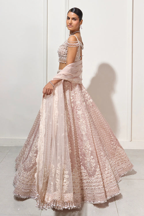 The Early Blossom Lehenga Set