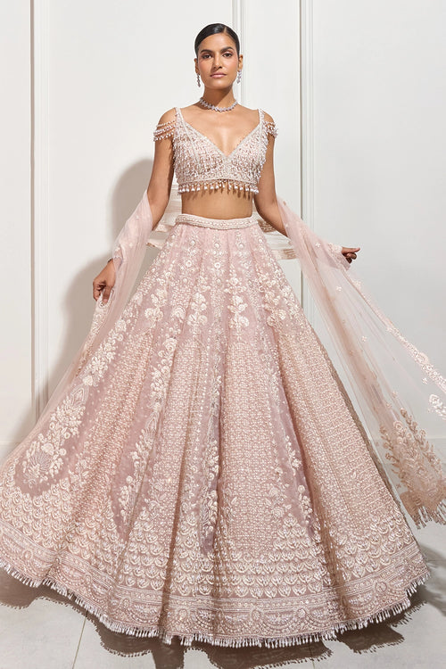 The Early Blossom Lehenga Set