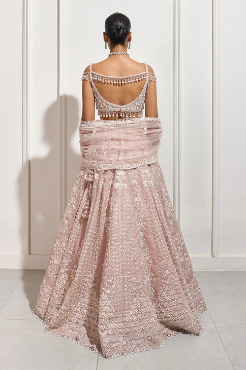 The Early Blossom Lehenga Set