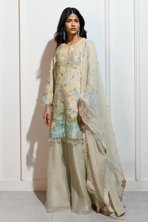 The Pastel Garden Sharara Set