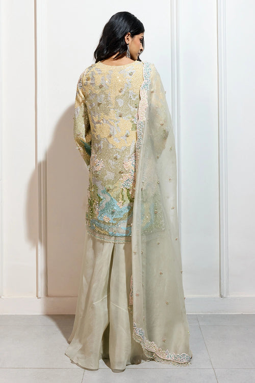The Pastel Garden Sharara Set