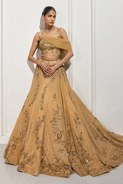 The Evening Dusk Lehenga Set
