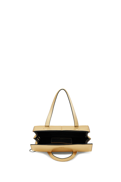 Michelle Metallic Gold Mini Crossbody Bag