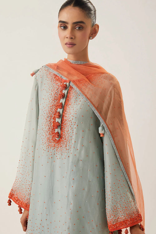 Meera Powder Blue Kurta Set