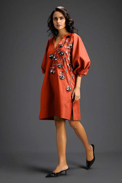 Rust V-Neck Dress