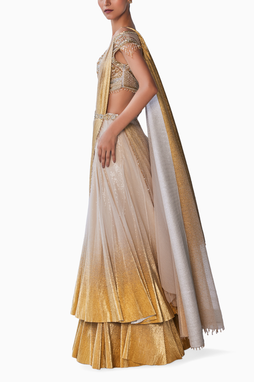 Golden Gleam Double Layer Lehenga Set