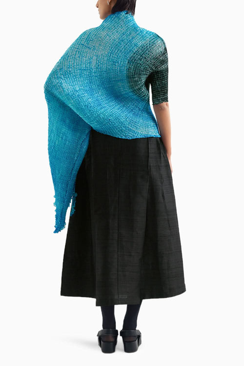 Methyle Blue and Black Shapeshifter