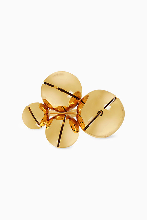 Montreal Cluster Ring