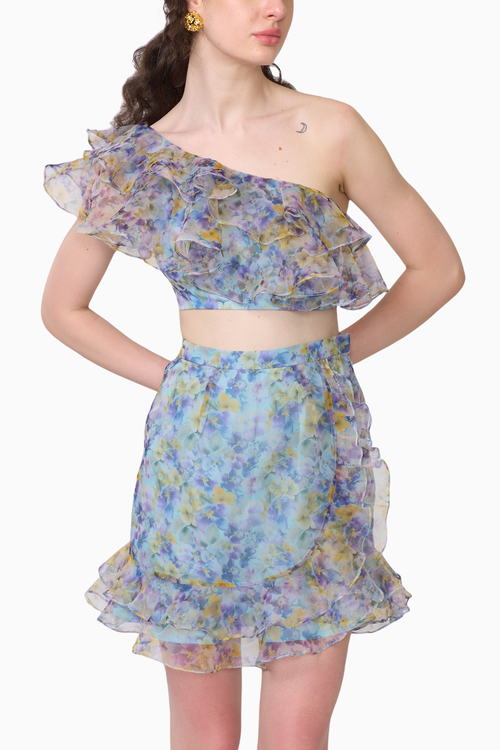 Eveline Crop Top and Skirt